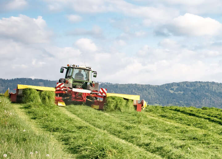 grassilage banner artikel silage grassilage banner artikel silage